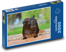 Morča a šiška Puzzle 2000 dielikov - 90 x 60 cm