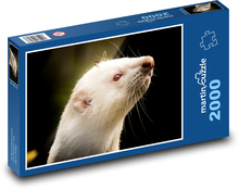 Biela fretka Puzzle 2000 dielikov - 90 x 60 cm