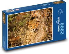 Lampart przy drzewie Puzzle 2000 elementów - 90x60 cm