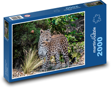 Leopard - divoká šelma Puzzle 2000 dielikov - 90 x 60 cm