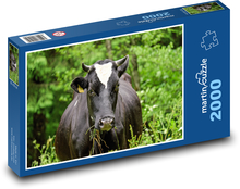 Czarna krowa Puzzle 2000 elementów - 90x60 cm