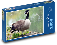 Gans am Teich Puzzle 2000 Teile - 90 x 60 cm