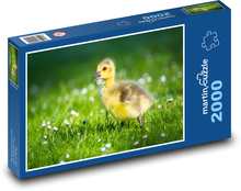 Little goose Puzzle 2000 pieces - 90 x 60 cm