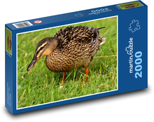 Kachna divoká v trávě Puzzle 2000 - 90x60 cm