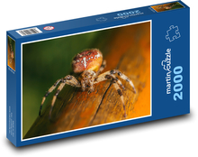 Pavúk lezúci po dreve Puzzle 2000 dielikov - 90 x 60 cm