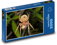 Spinne im Netz Puzzle 2000 Teile - 90 x 60 cm