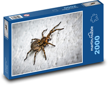 Spider Puzzle 2000 dielikov - 90 x 60 cm