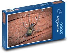 Langbeinige Spinne Puzzle 2000 Teile - 90 x 60 cm