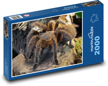 Pająk z futrzastymi nogami Puzzle 2000 elementów - 90x60 cm
