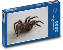Tarantula - nocny pająk Puzzle 2000 elementów - 90x60 cm