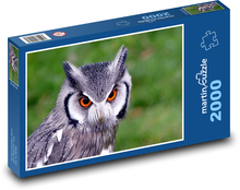 Sova - strážca lesa Puzzle 2000 dielikov - 90 x 60 cm