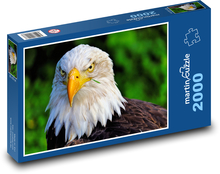 Eagle Puzzle 2000 pieces - 90 x 60 cm