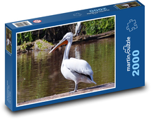 Bird - pelican by the pond Puzzle 2000 pieces - 90 x 60 cm