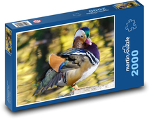 Pták - kachna mandarinská Puzzle 2000 dílků - 90 x 60 cm