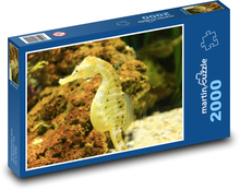 Seahorse Puzzle 2000 pieces - 90 x 60 cm