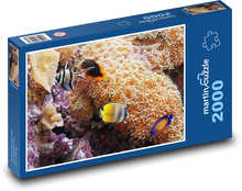 Fish swimming near corals Puzzle 2000 pieces - 90 x 60 cm