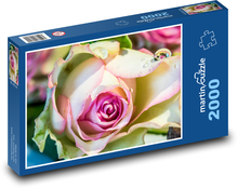 Kvetov - Ruže Puzzle 2000 dielikov - 90 x 60 cm