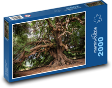Olivovník, strom Puzzle 2000 dílků - 90 x 60 cm