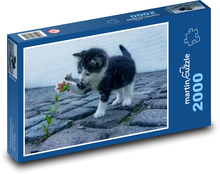 Hrajúce sa mačiatko Puzzle 2000 dielikov - 90 x 60 cm