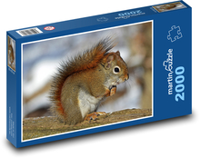 Squirrel - red-haired, rodent Puzzle 2000 pieces - 90 x 60 cm