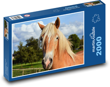 Pferd Puzzle 2000 Teile - 90 x 60 cm