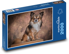 Čivava dlhosrstá, sediaci pes Puzzle 2000 dielikov - 90 x 60 cm