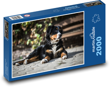 Berner Sennenhund, draußen ausruhen Puzzle 2000 Teile - 90 x 60 cm