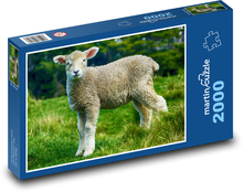 Lamm Puzzle 2000 Teile - 90 x 60 cm