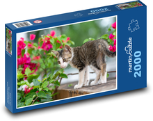 Katze Puzzle 2000 Teile - 90 x 60 cm