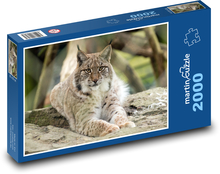 Lynx Puzzle 2000 Teile - 90 x 60 cm