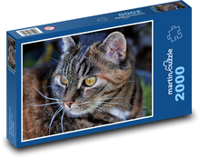 Weißbärtige Katze Puzzle 2000 Teile - 90 x 60 cm