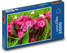 Rozkvetlá horská louka, Rakousko Puzzle 2000 dílků - 90 x 60 cm