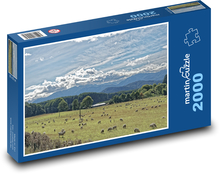 Nový Zéland - ovce Puzzle 2000 dílků - 90 x 60 cm