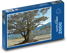 Nový Zéland - strom Puzzle 2000 dílků - 90 x 60 cm
