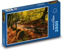 Příroda, podzim, cesta Puzzle 2000 dílků - 90 x 60 cm