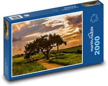Strom v parku Puzzle 2000 dielikov - 90 x 60 cm