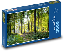 Las liściasty Puzzle 2000 elementów - 90x60 cm