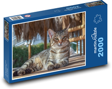 Kočka na terase Puzzle 2000 dílků - 90 x 60 cm