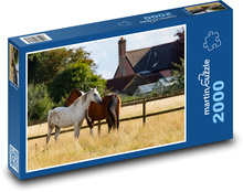 Koně v ohradě Puzzle 2000 - 90x60 cm