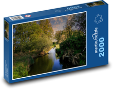Potůček zarostlý v lese Puzzle 2000 dílků - 90 x 60 cm