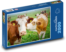 Spotted cows in the pasture Puzzle 2000 pieces - 90 x 60 cm