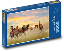 Dzikie konie Puzzle 2000 elementów - 90x60 cm