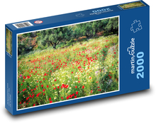 Vlčie maky v tráve Puzzle 2000 dielikov - 90 x 60 cm