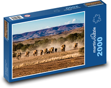 Stádo slonov v africkej savane Puzzle 2000 dielikov - 90 x 60 cm