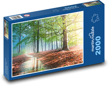Sluneční paprsky v podzimním lese Puzzle 2000 dílků - 90 x 60 cm