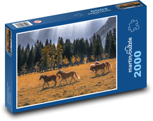 Príroda, kone Puzzle 2000 dielikov - 90 x 60 cm