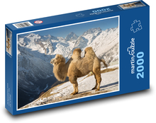 Wielbłąd w górach Puzzle 2000 elementów - 90x60 cm