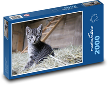 Kočka domácí Puzzle 2000 dílků - 90 x 60 cm