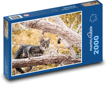 Katze auf einem Baum Puzzle 2000 Teile - 90 x 60 cm