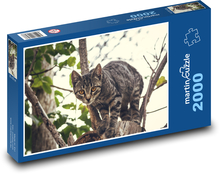 Kot domowy Puzzle 2000 elementów - 90x60 cm